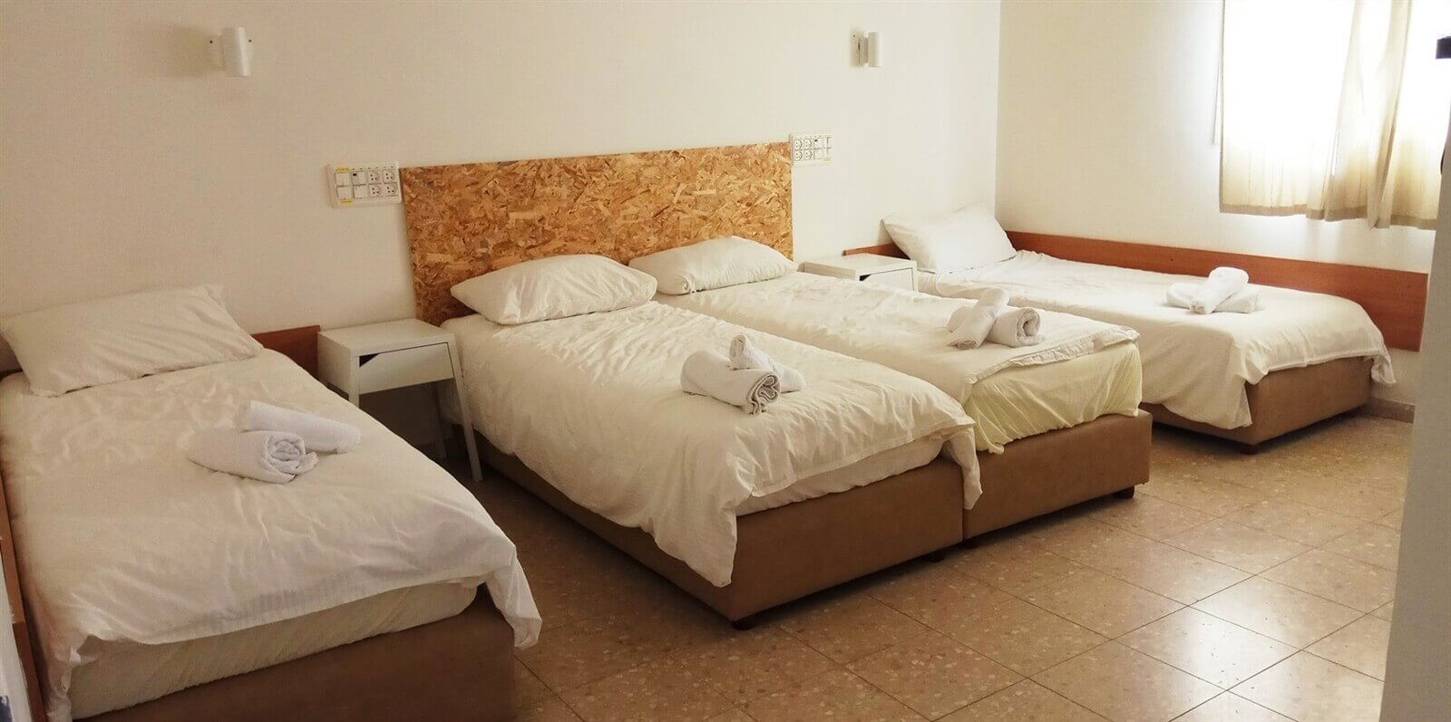 תמונה של אורחן דור - 2