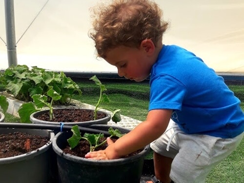 תמונה של חקלאות