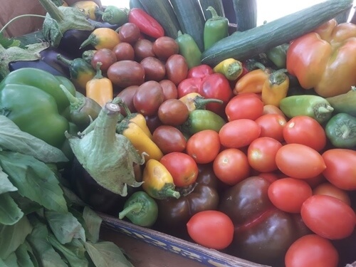 תמונה של חקלאות