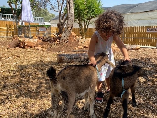 תמונה של חקלאות