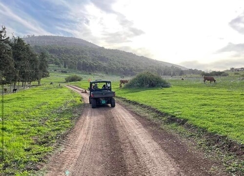 תמונה של טיולי רייזרים