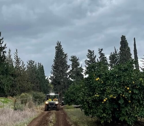 תמונה של טיולי רייזרים