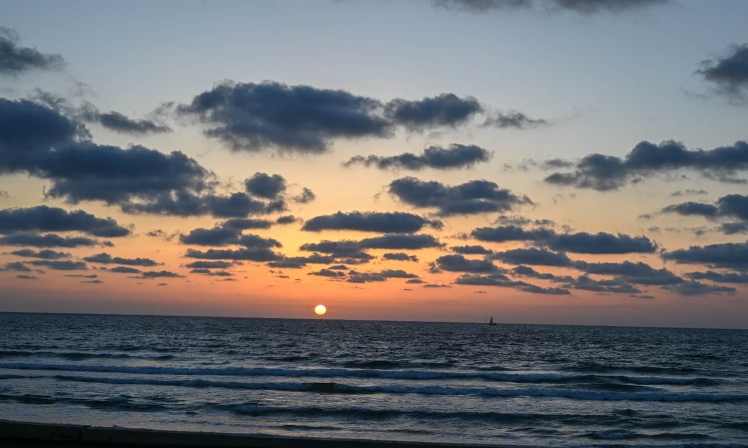 תמונה של דגנייה 77 - 12