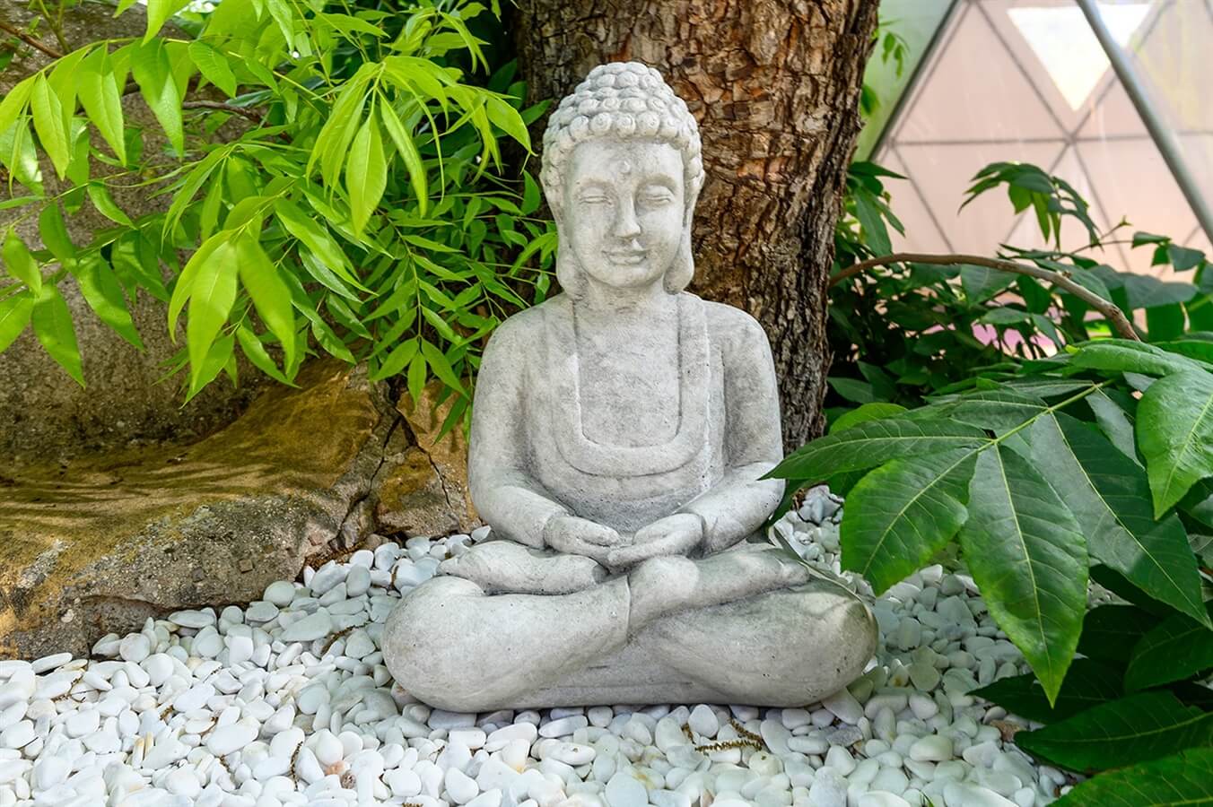 תמונה של הצימר - 16