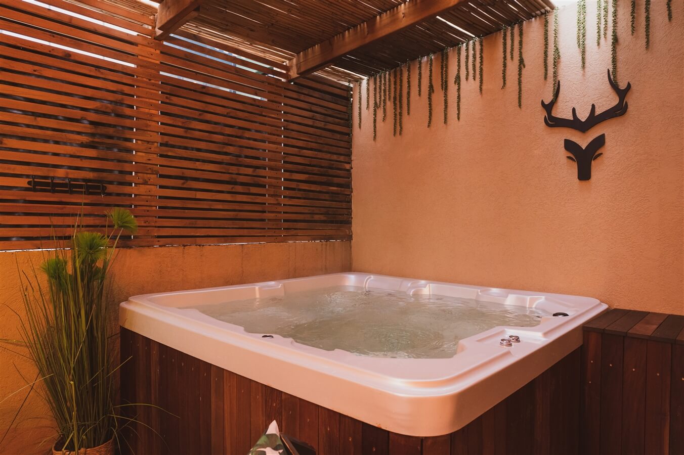 תמונה של הלופט - 5