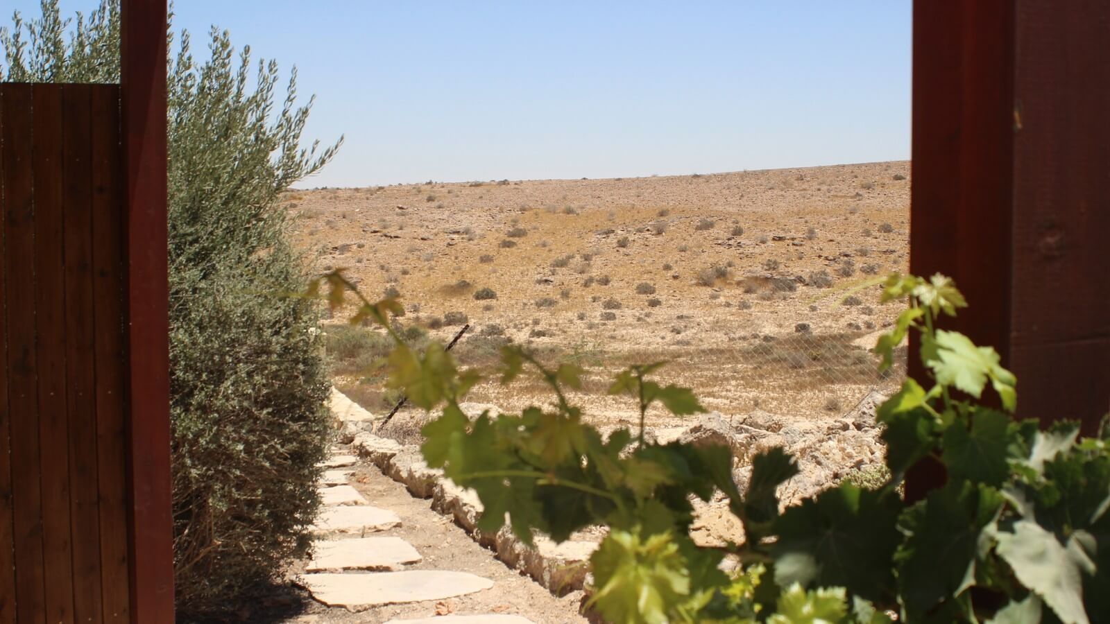 תמונה של צימר הגפן - 12 תמונה של צימר הגפן - 12