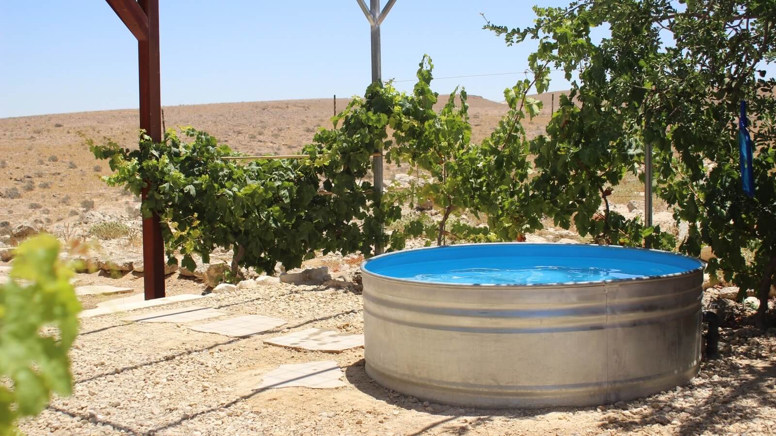 תמונה של צימר הגפן - 9 תמונה של צימר הגפן - 9