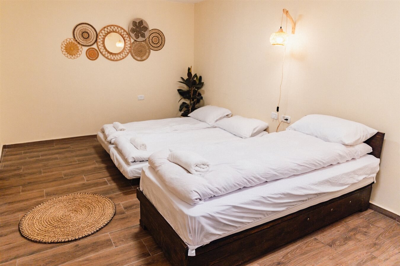 תמונה של יחידת ערבה - 5