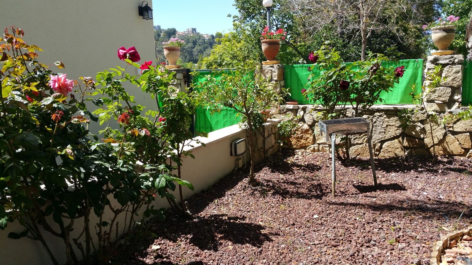 תמונה של יחידת גאיה - 16