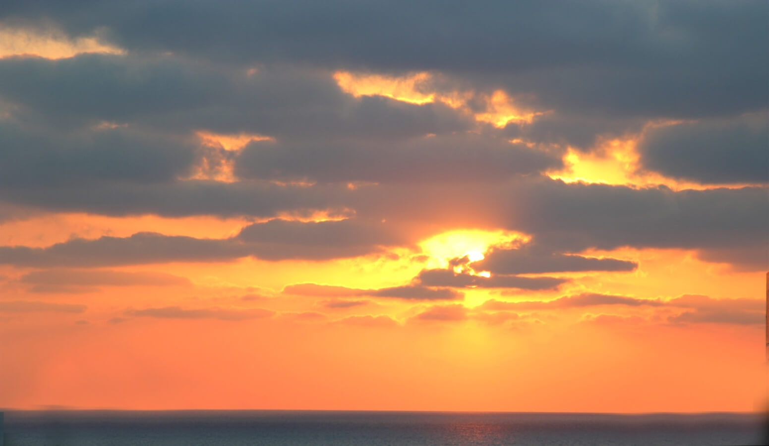 תמונה של יחידת סתיו - 24