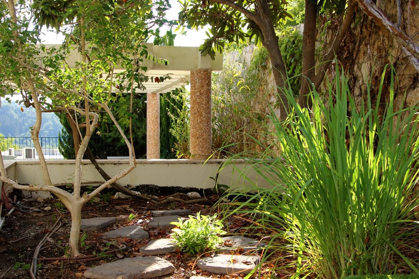 תמונה של יחידת סתיו - 23