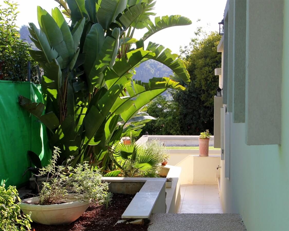 תמונה של יחידת סתיו - 3