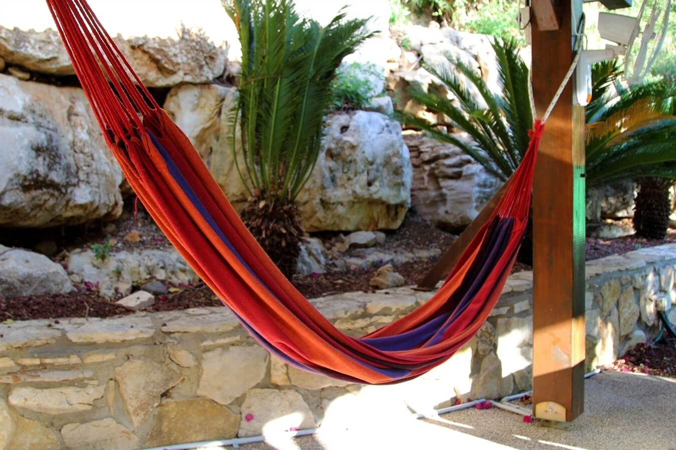 תמונה של יחידת סתיו - 18