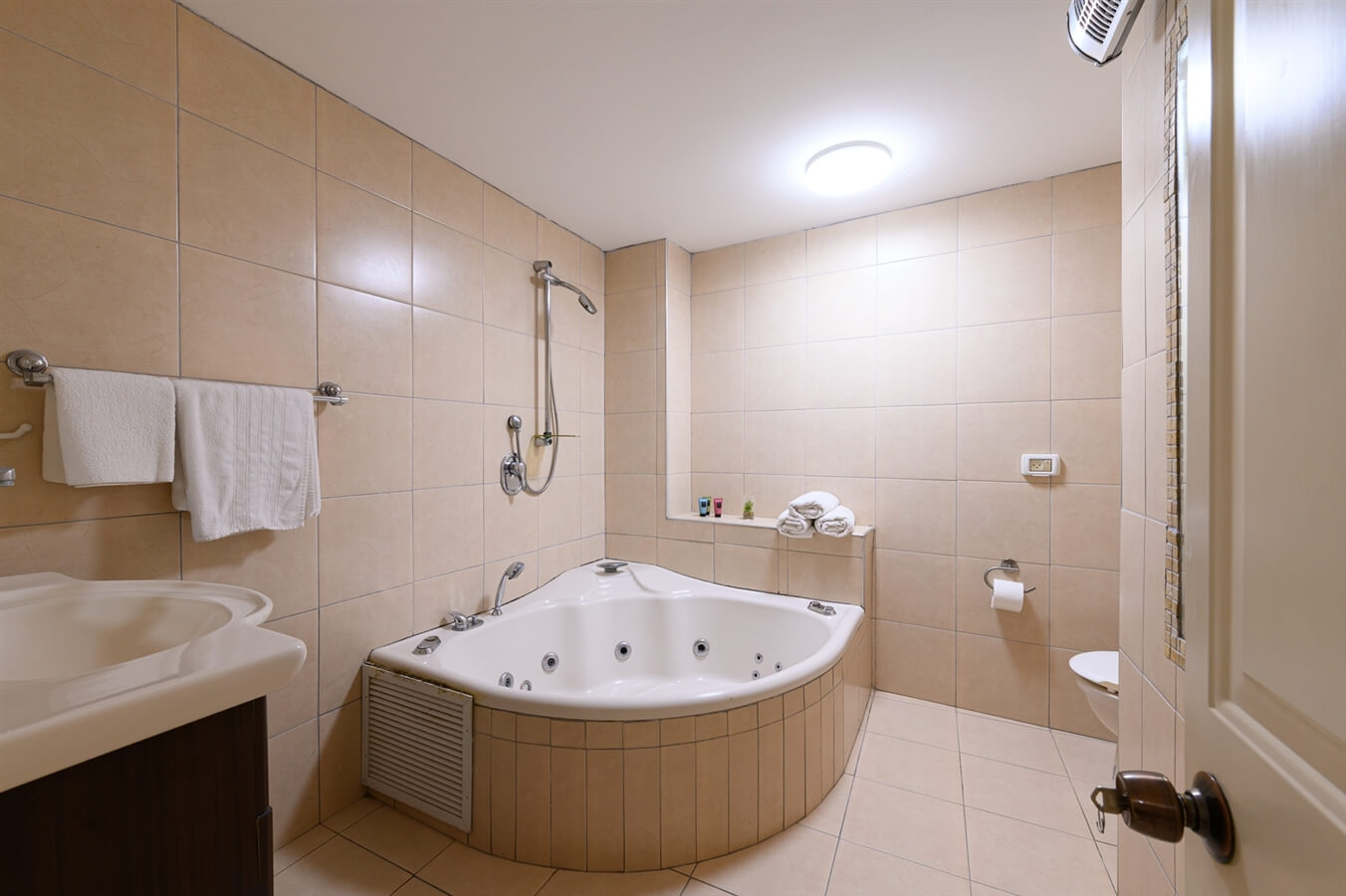 תמונה של יחידת גאיה - 10