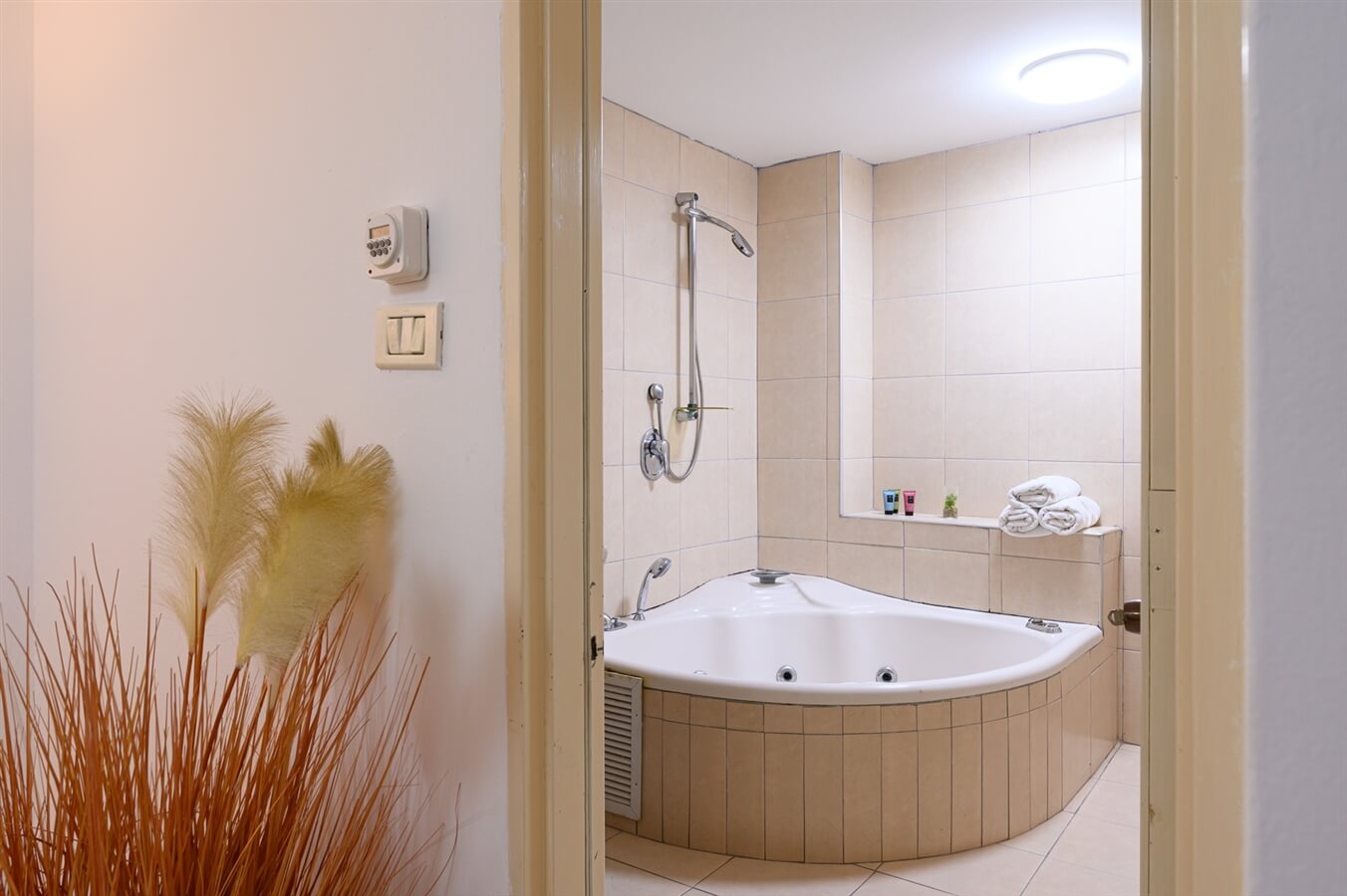 תמונה של יחידת גאיה - 9