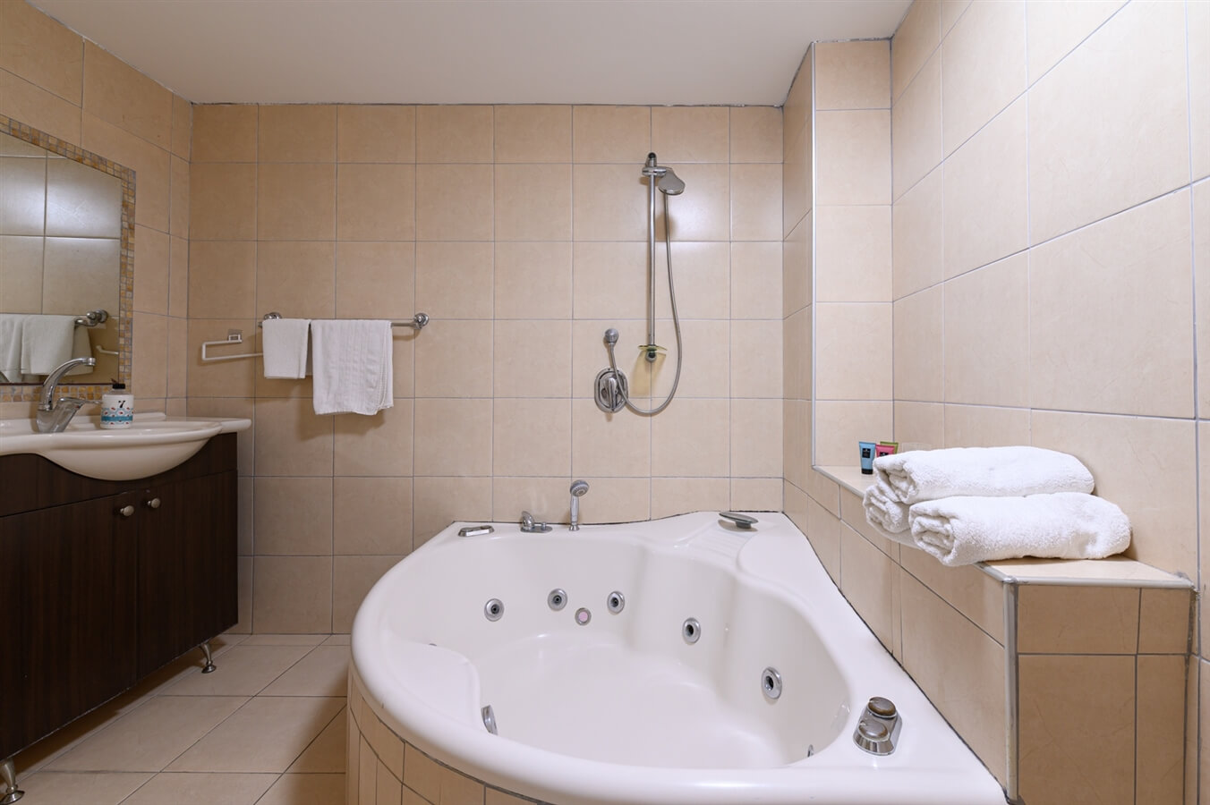 תמונה של יחידת גאיה - 11