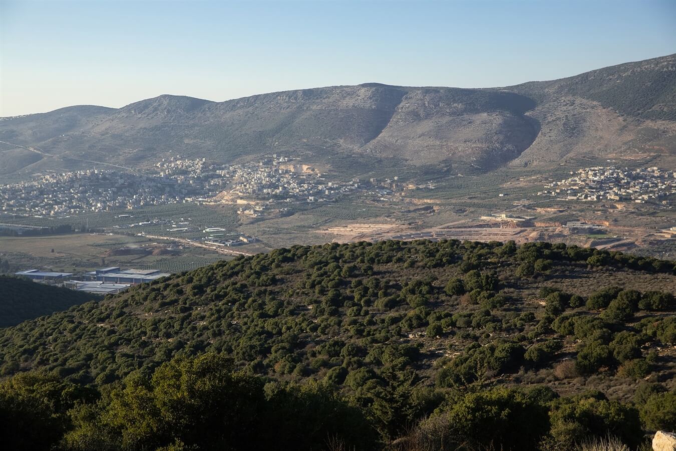 תמונה של צימר זוגי - 11 תמונה של צימר זוגי - 11