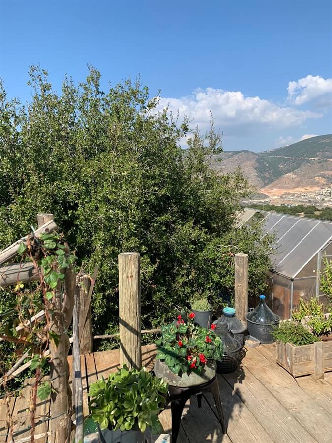 תמונה של צימר זוגי - 12 תמונה של צימר זוגי - 12