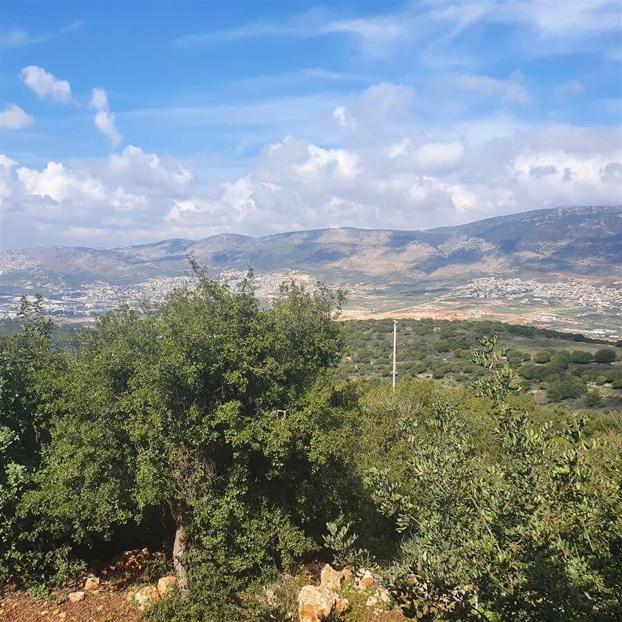 תמונה של צימר משפחתי - 13 תמונה של צימר משפחתי - 13