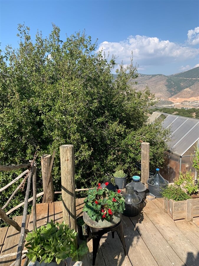 תמונה של צימר זוגי - 13 תמונה של צימר זוגי - 13