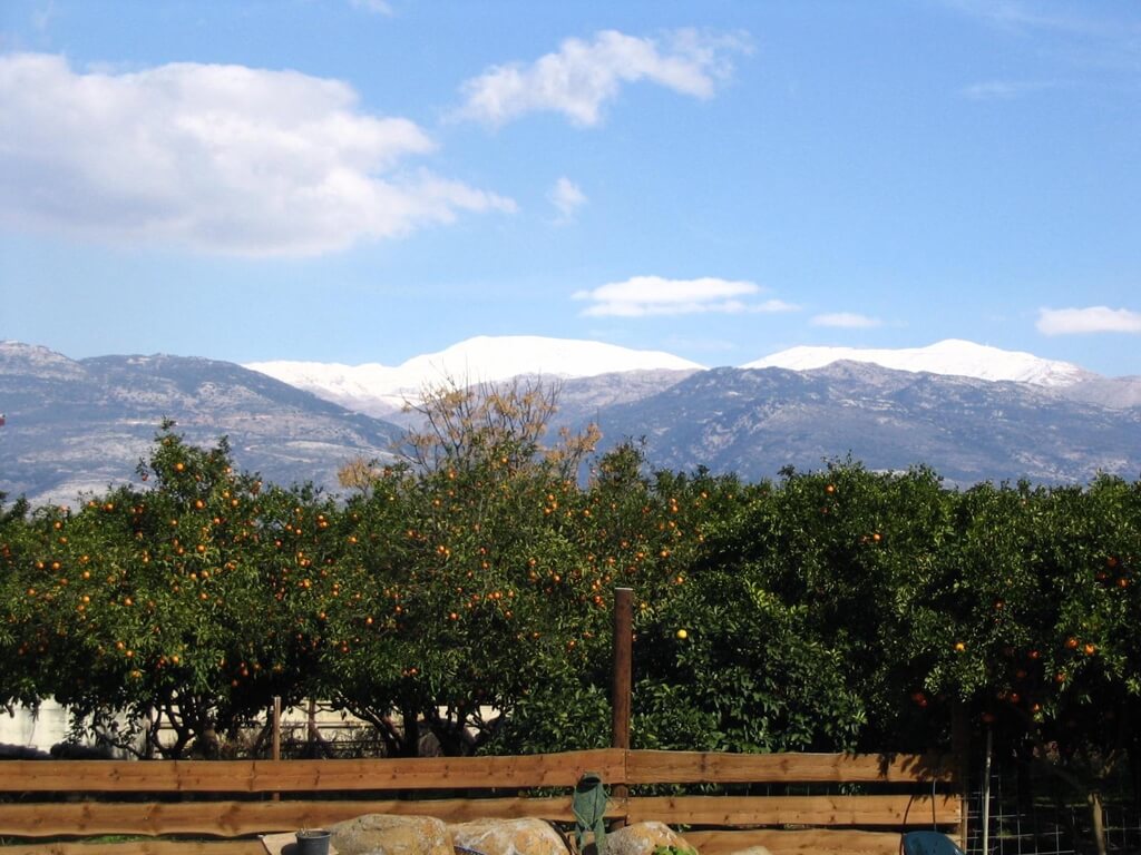 תמונה של יחידה משפחתית - 8