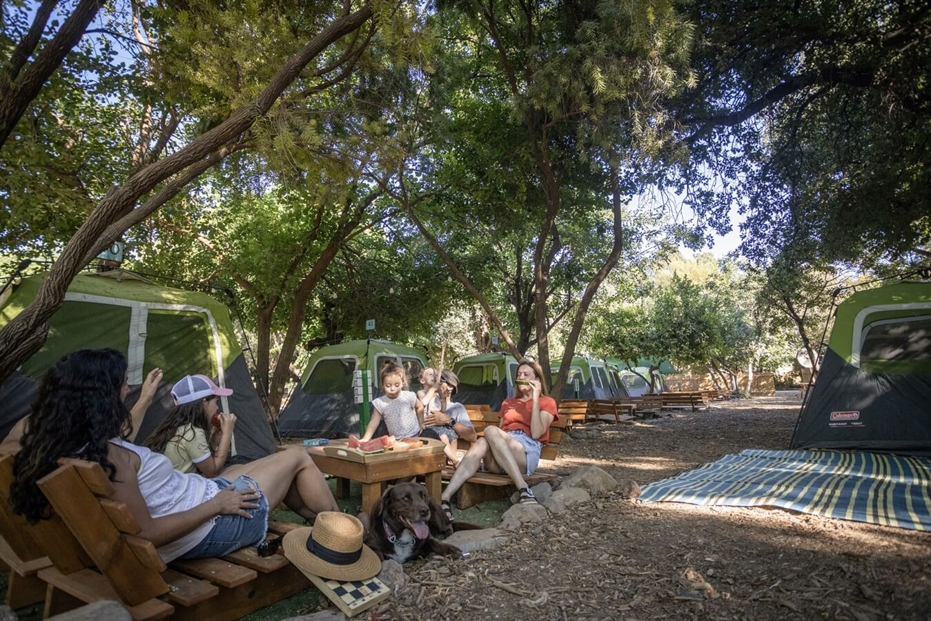 תמונה של אוהלי פופ-אפ - 6 תמונה של אוהלי פופ-אפ - 6