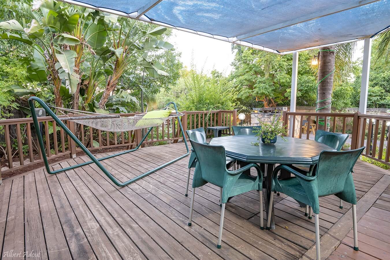 תמונה של היחידה המשפחתית - 15 תמונה של היחידה המשפחתית - 15