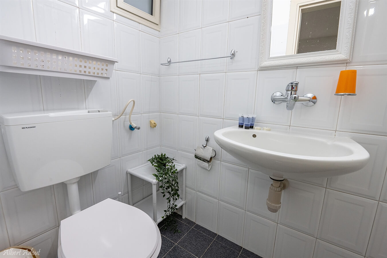 תמונה של היחידה המשפחתית - 9 תמונה של היחידה המשפחתית - 9