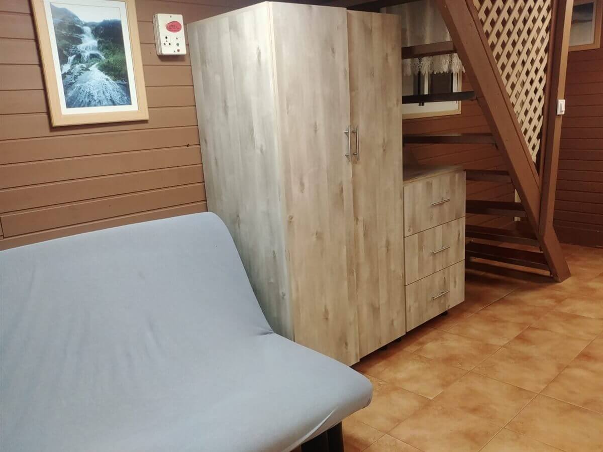 תמונה של תאנה - 4