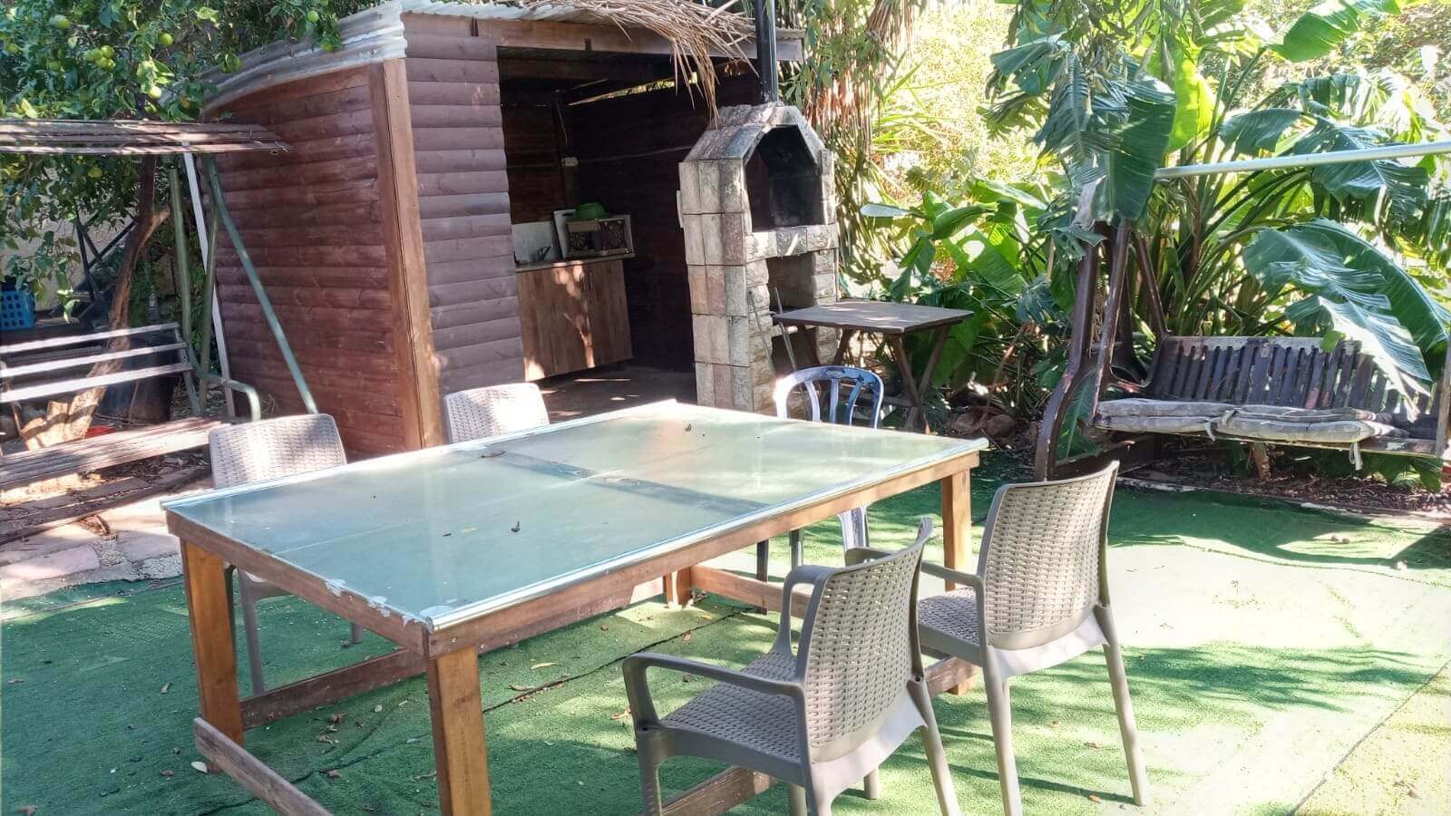 תמונה של תאנה - 2