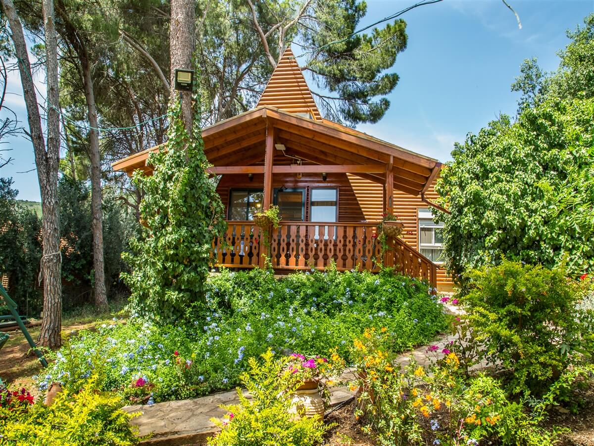 תמונה של בית העץ - 6