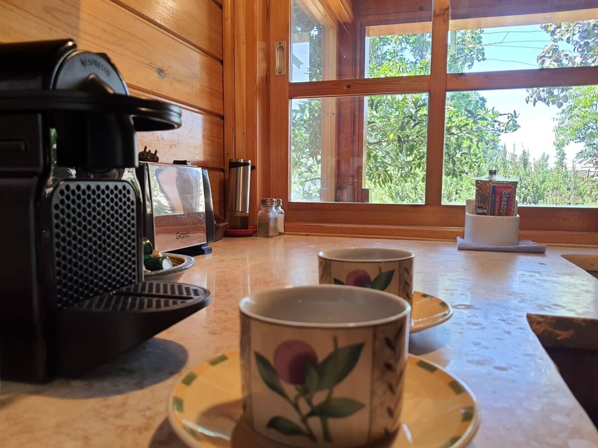 תמונה של בקתת תות - 9