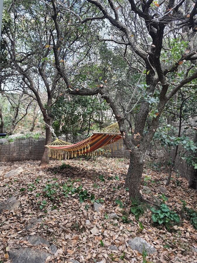 תמונה של בקתת הנסיכה הקסומה - 14