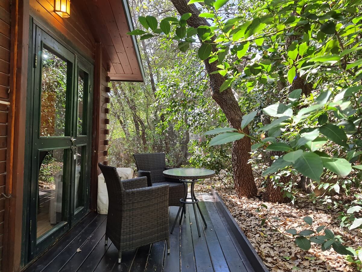 תמונה של בקתת אלון - 4