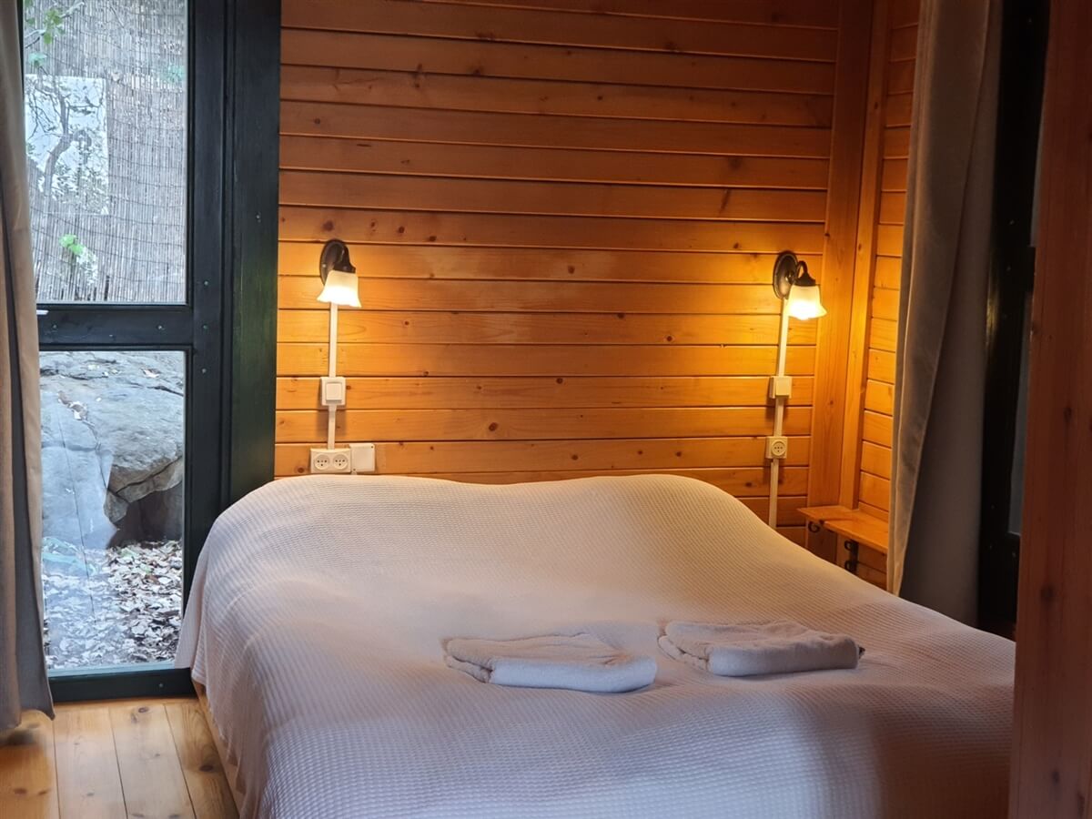 תמונה של בקתת אלה - 6