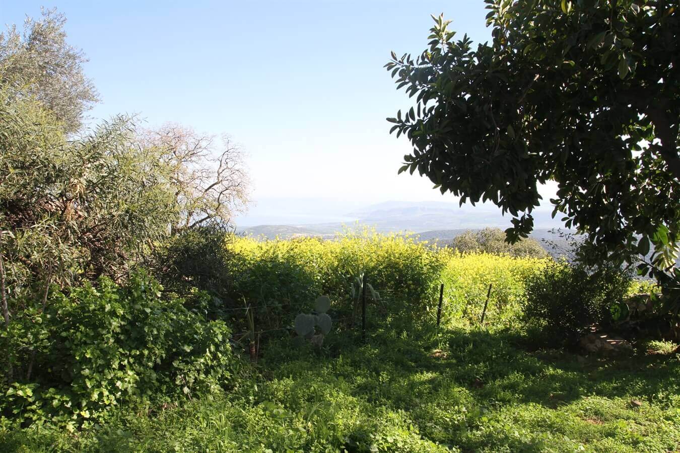 תמונה של יחידת משמש - 8