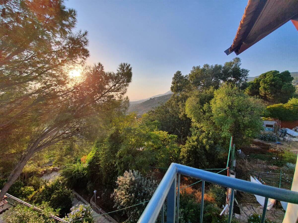 תמונה של יחידות משפחתיות - 3