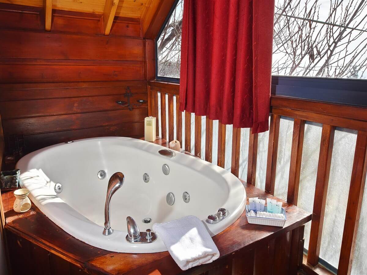 תמונה של הבקתה השוויצרית - 2 תמונה של הבקתה השוויצרית - 2