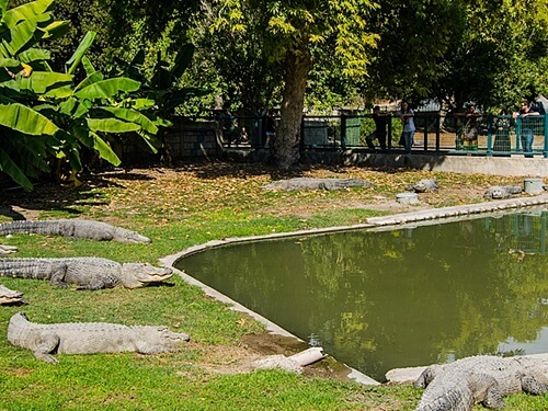 תמונה של כל הפעילויות