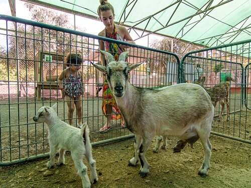 תמונה של כל הפעילויות