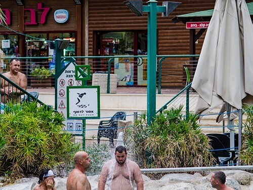 תמונה של כל הפעילויות