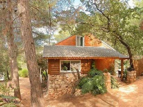 תמונה שצולמה בשירת העשבים - 1 תמונה של שירת העשבים - 1