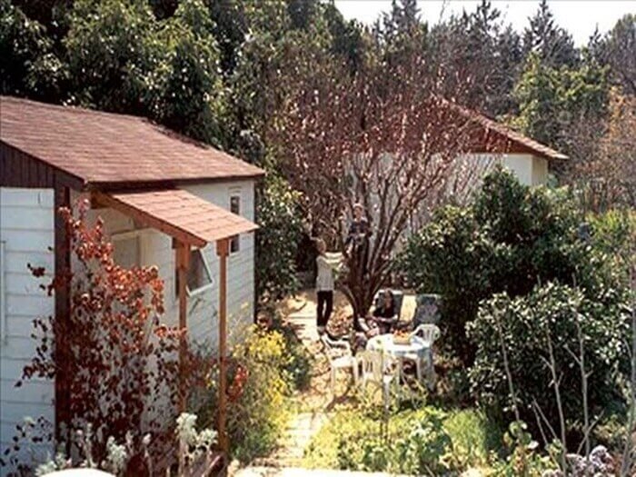 תמונה שצולמה בבית קטן בבוסתן - צוק תמר - 1 תמונה של בית קטן בבוסתן - צוק תמר - 1