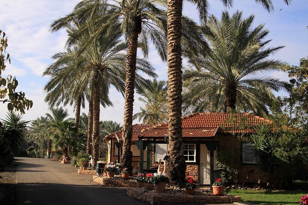 תמונה של הבקתות הרומנטיות - 9 תמונה של הבקתות הרומנטיות - 9