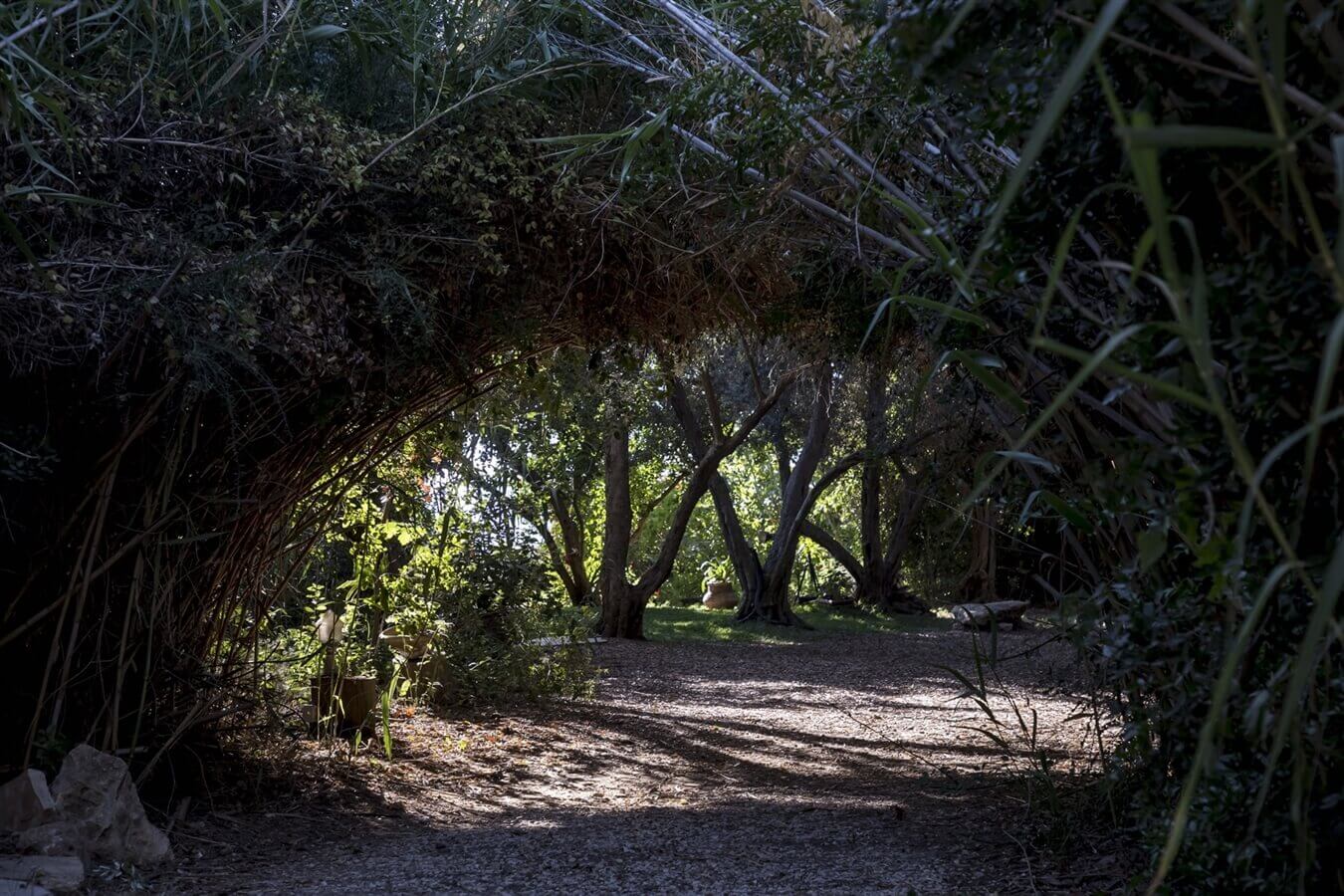 תמונה של הבקתה המבודדת - 9