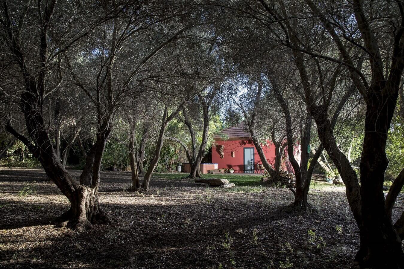 תמונה של הבקתה המבודדת - 2