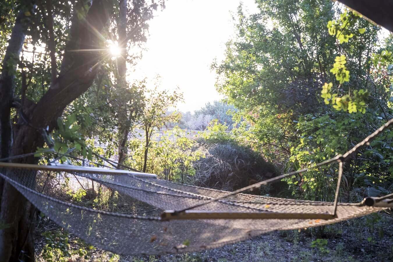 תמונה של הבקתה המבודדת - 8