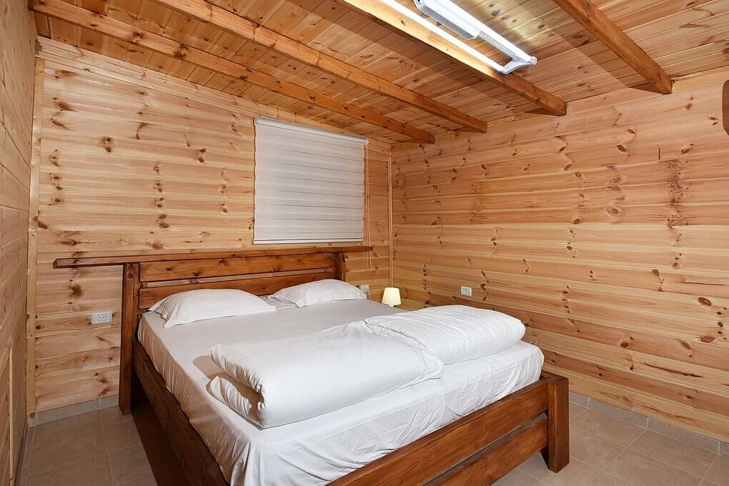 תמונה של תמר - 4